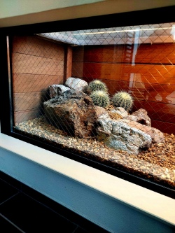 Work NATURE Work NATURE